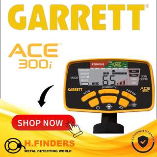 Garrett ACE 300i