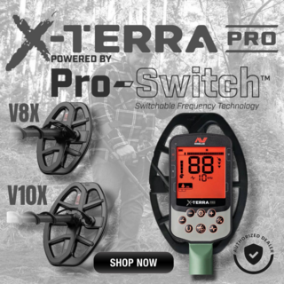 Minelab X-Terra Pro