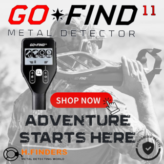 Minelab Go-Find  11