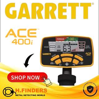 Garrett ACE 400i